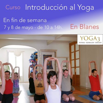 yogablanes curso introduccion al yoga 00